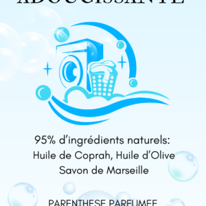Lessive 95% d'origine naturelle  500ml
