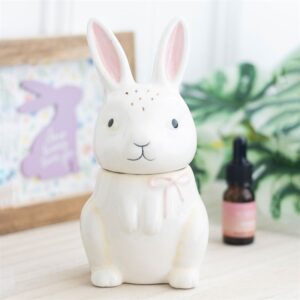 Lapinou Plumette