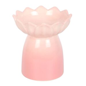Nénuphar rose dégradé