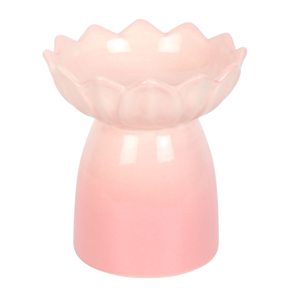 Nénuphar rose dégradé